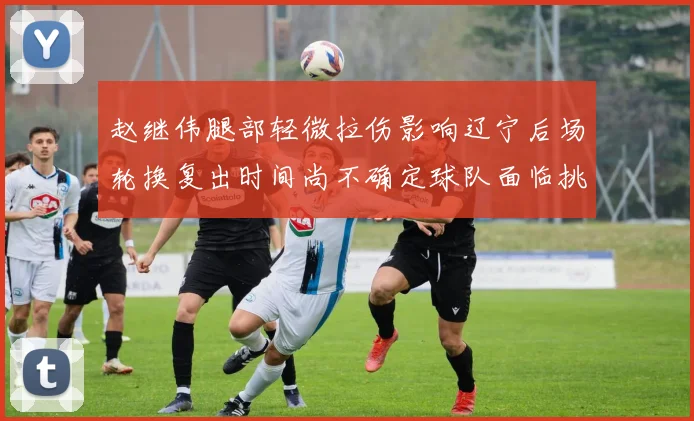 赵继伟腿部轻微拉伤影响辽宁后场轮换复出时间尚不确定球队面临挑战