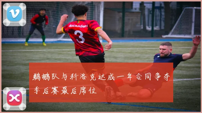 鹈鹕队与科洛克达成一年合同争夺季后赛最后席位