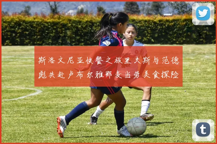 斯洛文尼亚快餐之旅里夫斯与范德彪共赴卢布尔雅那麦当劳美食探险